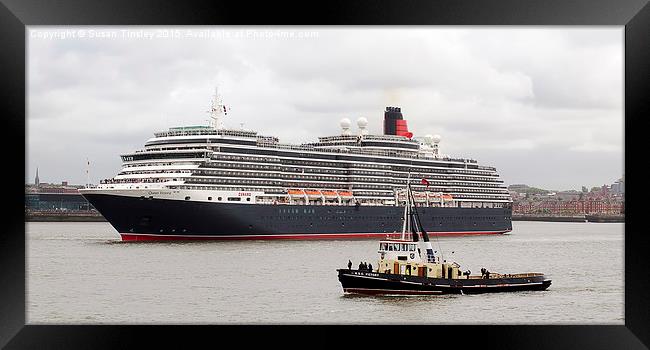 Cunard Queen Victoria Framed Print by Susan Tinsley