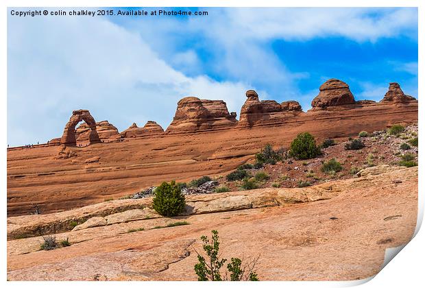  Arches National Park - Delicate Arch Print by colin chalkley