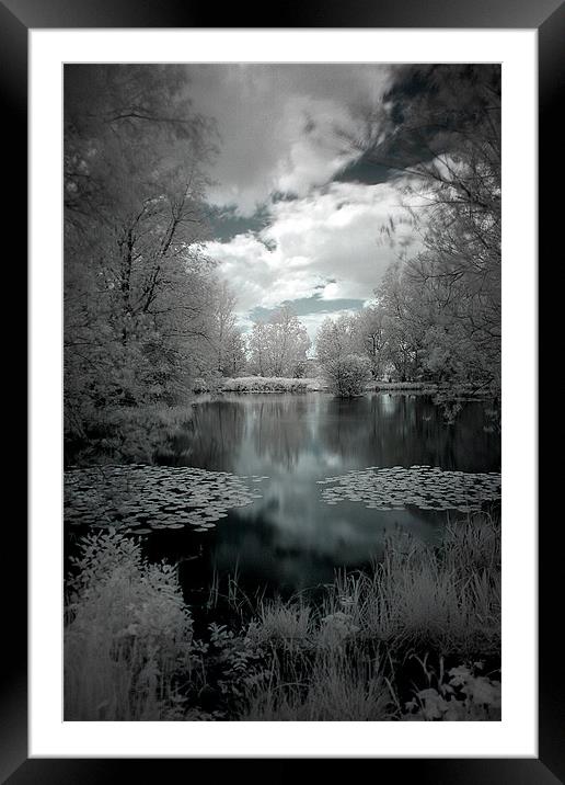 Lily Pond in Watermead Park Framed Mounted Print by Simon Gladwin