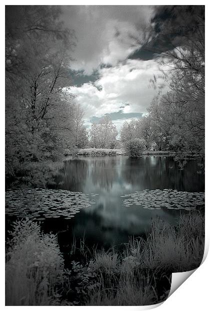 Lily Pond in Watermead Park Print by Simon Gladwin