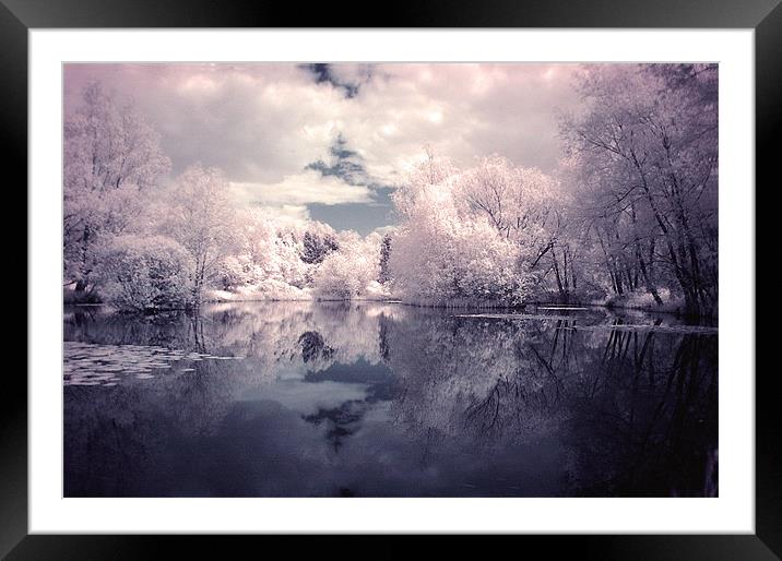 Lilac Reflections in Watermead Park Framed Mounted Print by Simon Gladwin