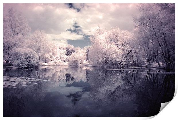 Lilac Reflections in Watermead Park Print by Simon Gladwin