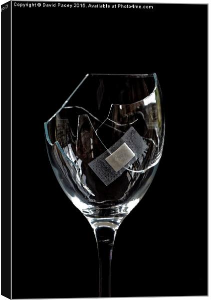  Broken wine glass Canvas Print by David Pacey