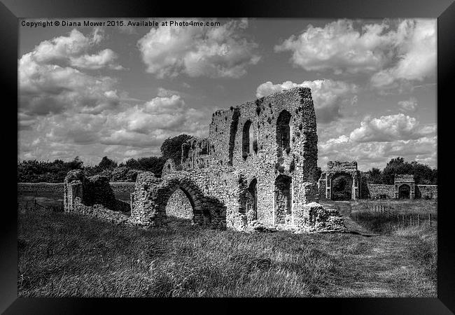  Greyfriars Priory, black and white Framed Print by Diana Mower