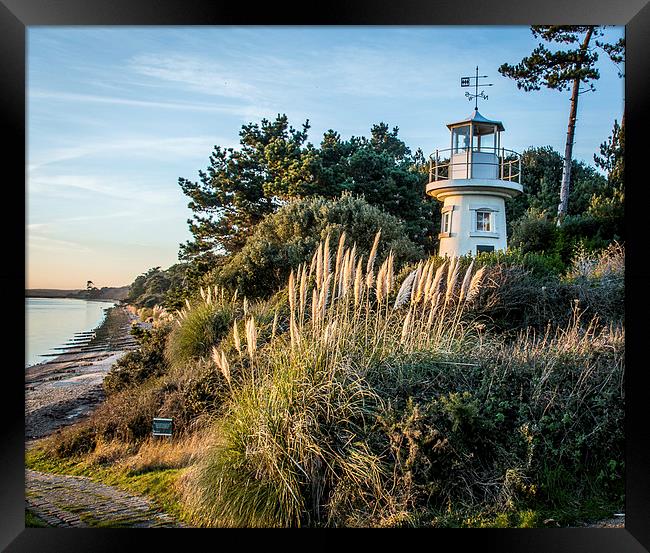  The Lighthouse at lepe Framed Print by Sue Knight