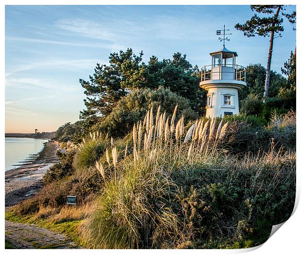  The Lighthouse at lepe Print by Sue Knight