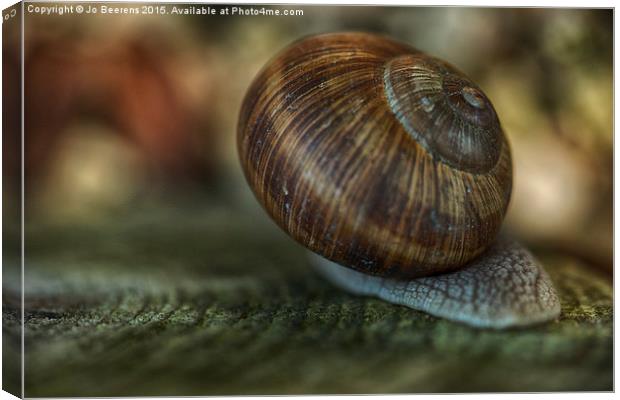 Burgundy snail glide past Canvas Print by Jo Beerens