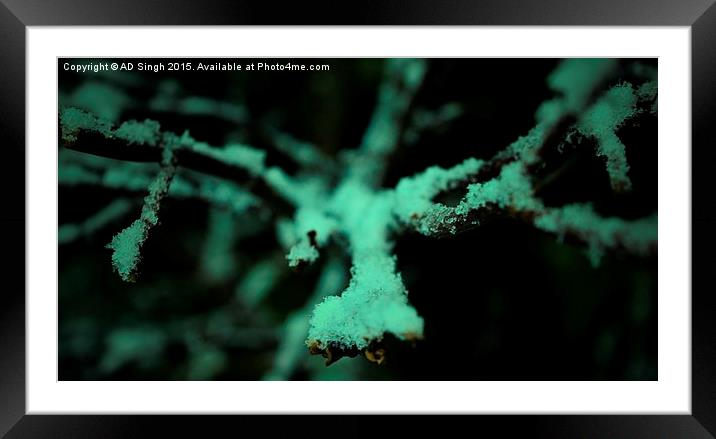 Cold Branch Framed Mounted Print by AD Singh