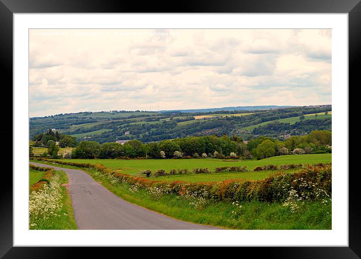  Hedgerows to Hills , Scotland Framed Mounted Print by Bill Lighterness