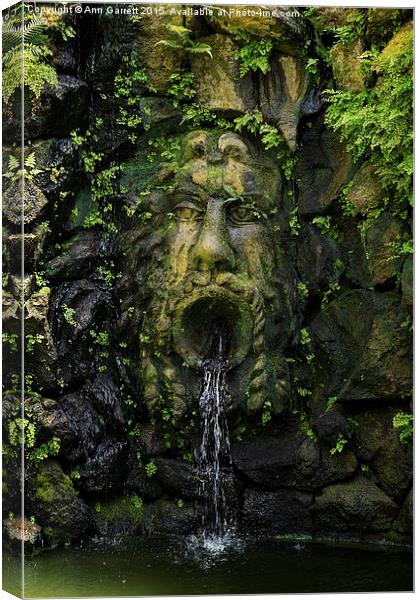 The Green Man Fountain Canvas Print by Ann Garrett