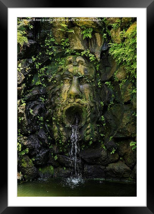 The Green Man Fountain Framed Mounted Print by Ann Garrett