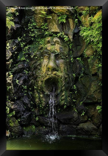 The Green Man Fountain Framed Print by Ann Garrett