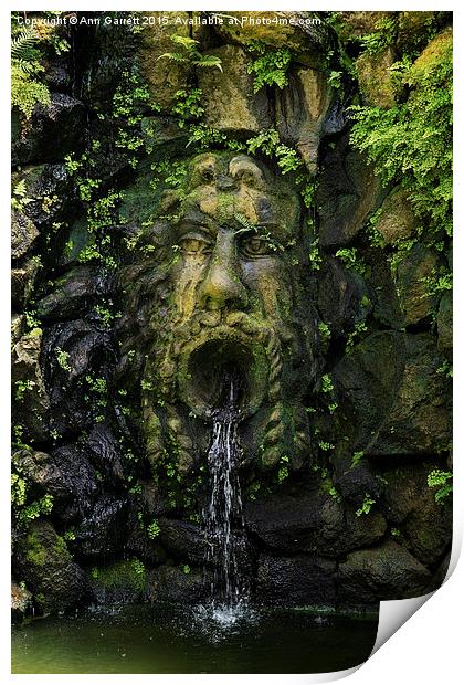 The Green Man Fountain Print by Ann Garrett