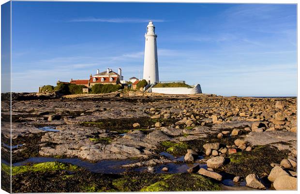  St Mary`s Lighthouse Canvas Print by Northeast Images