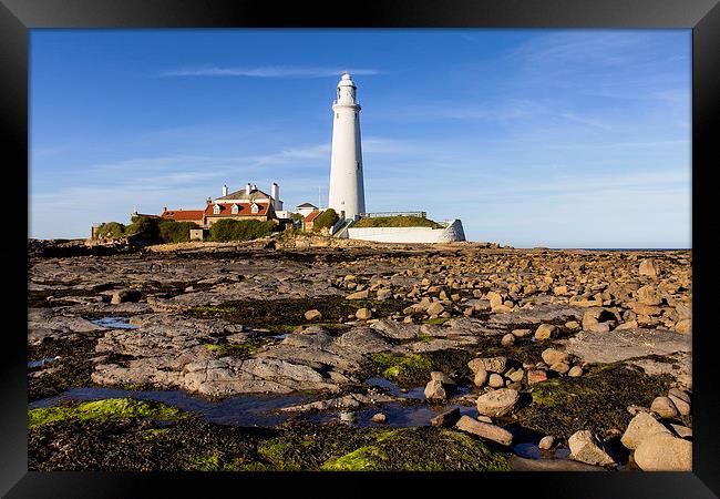  St Mary`s Lighthouse Framed Print by Northeast Images