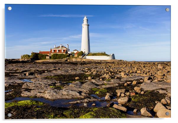  St Mary`s Lighthouse Acrylic by Northeast Images