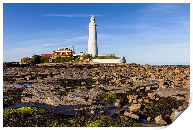  St Mary`s Lighthouse Print by Northeast Images