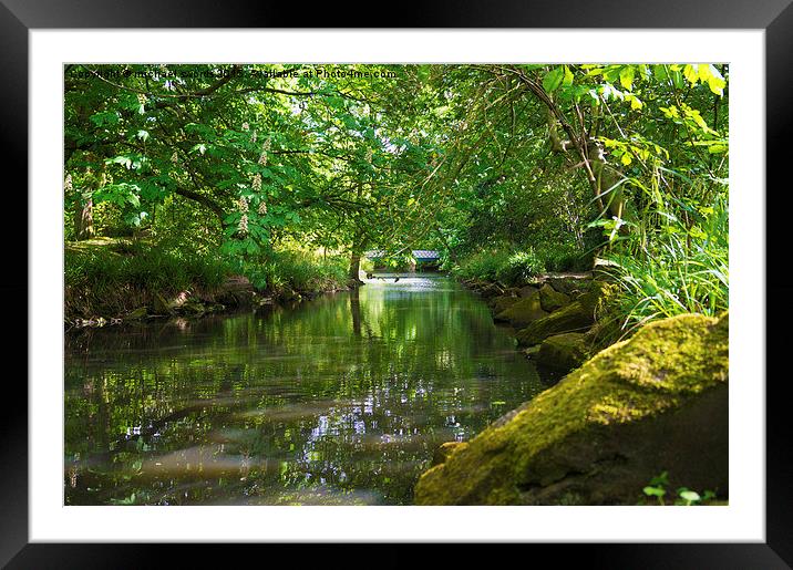  stream on summers day Framed Mounted Print by michael swords