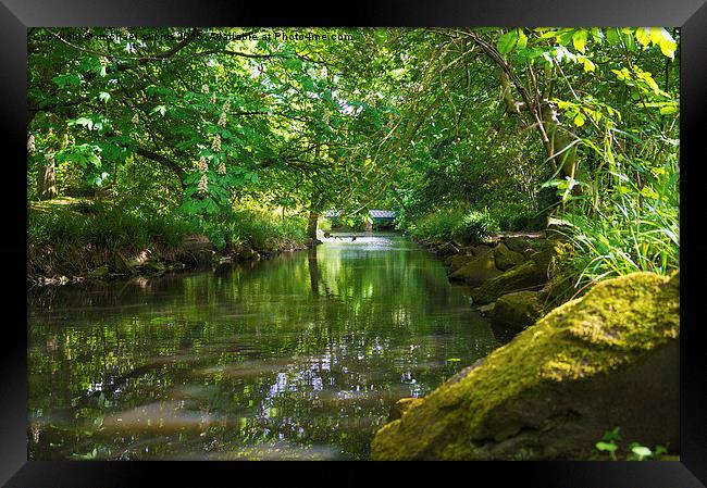  stream on summers day Framed Print by michael swords