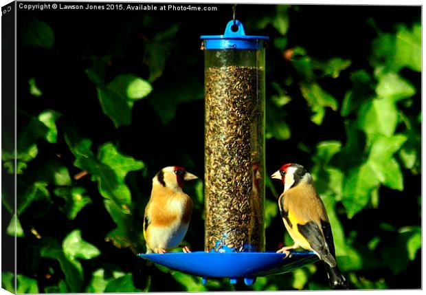  Goldfinches Canvas Print by Lawson Jones