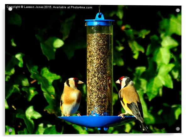  Goldfinches Acrylic by Lawson Jones