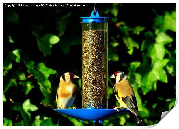  Goldfinches Print by Lawson Jones