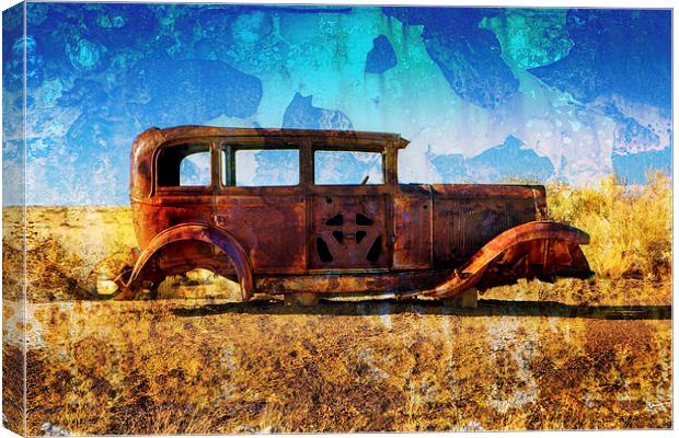  Rusting in Splendour Canvas Print by David Hare