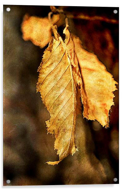Leaf Acrylic by Mary Lane