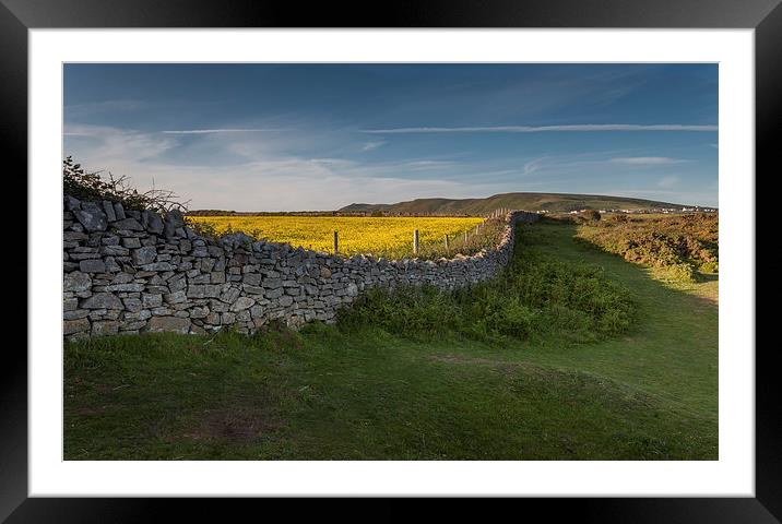  Dry stone wall Framed Mounted Print by Leighton Collins