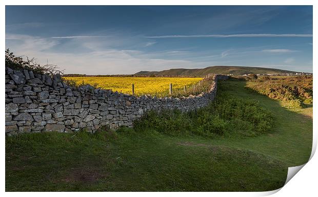  Dry stone wall Print by Leighton Collins