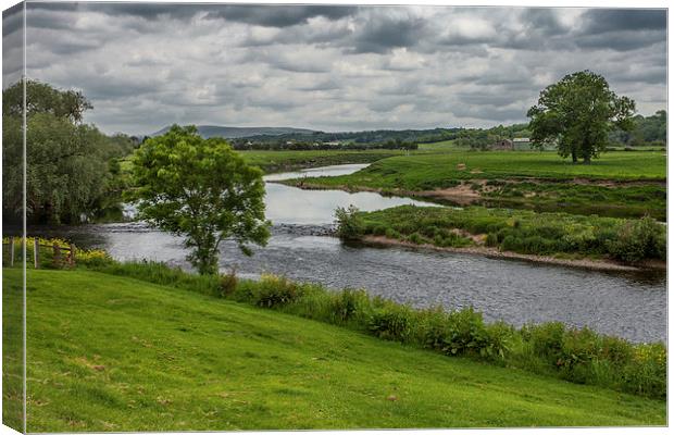  River Ribble from Ribchester Canvas Print by Peter Stuart