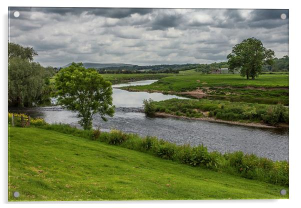  River Ribble from Ribchester Acrylic by Peter Stuart