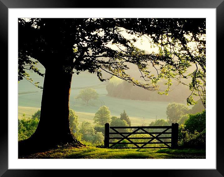  Evening sun at Crundale  Framed Mounted Print by Graham Heath