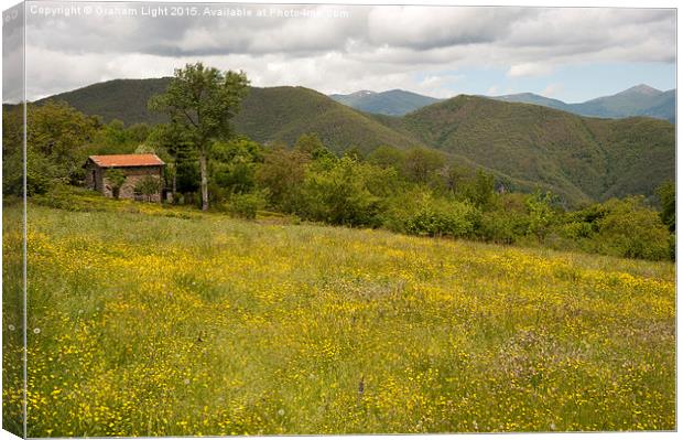  Wildflowers on hillsides in the Appenine Mountain Canvas Print by Graham Light