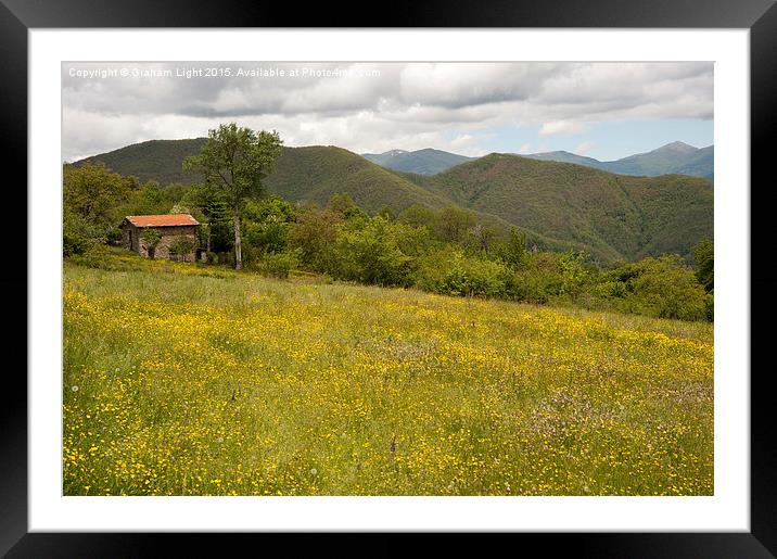  Wildflowers on hillsides in the Appenine Mountain Framed Mounted Print by Graham Light