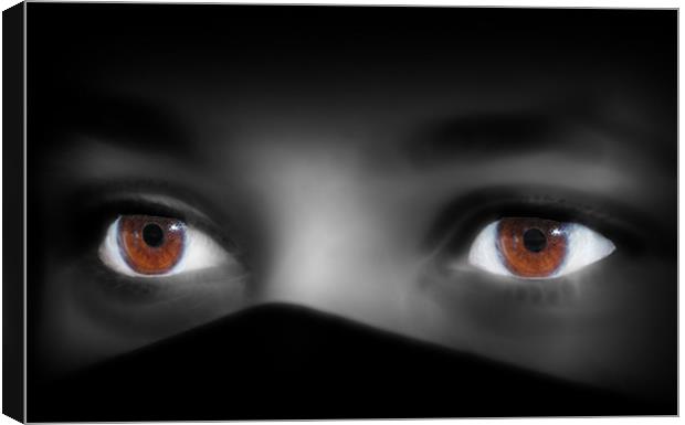 Brown Eyes Canvas Print by C.C Photography