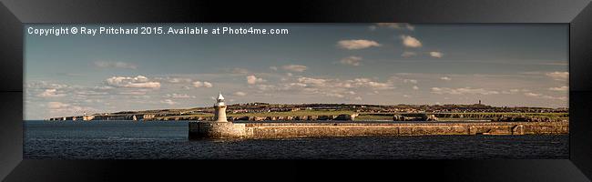  South Shields Panorama Framed Print by Ray Pritchard