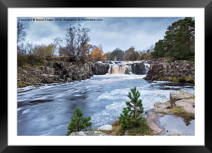 Autumn Colour, Low Force Waterfall Upper Teesdale Framed Mounted Print by David Forster