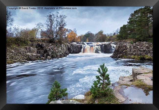 Autumn Colour, Low Force Waterfall Upper Teesdale Framed Print by David Forster