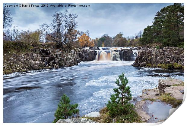 Autumn Colour, Low Force Waterfall Upper Teesdale Print by David Forster