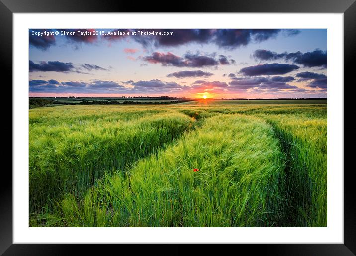 Anmer Sunset, Norfolk Framed Mounted Print by Simon Taylor