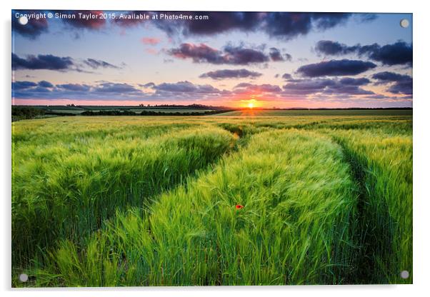 Anmer Sunset, Norfolk Acrylic by Simon Taylor