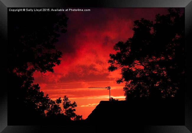  Flaming June Sunset Framed Print by Sally Lloyd