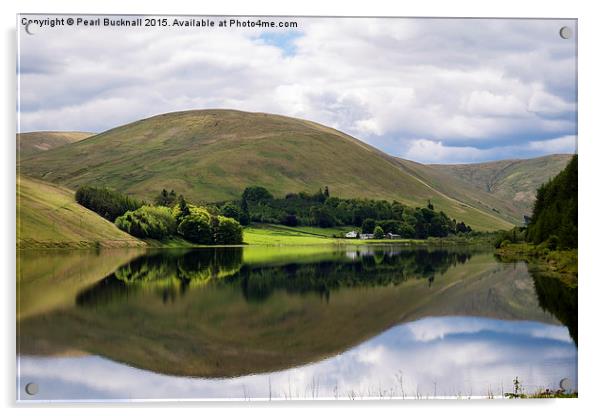 Reflections in Loch of the Lowes Scottish Borders Acrylic by Pearl Bucknall