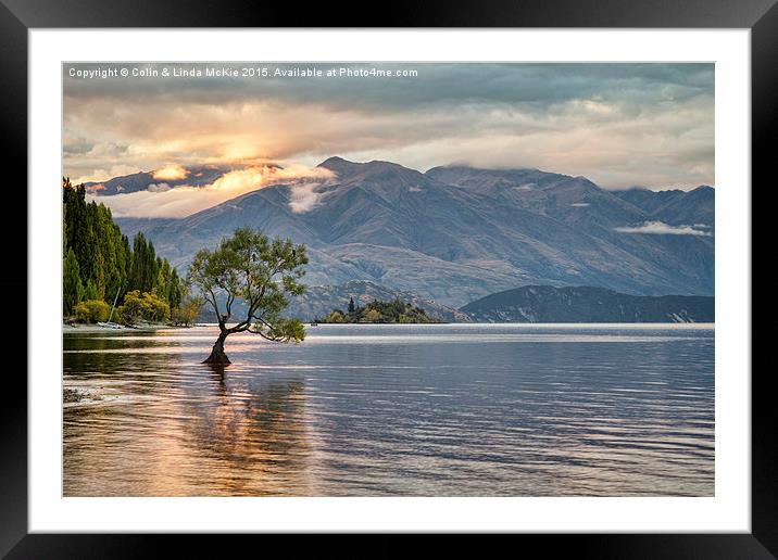 Evening at Lake Wanaka Framed Mounted Print by Colin & Linda McKie