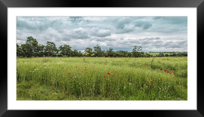  Essex landscape Framed Mounted Print by Pauline Tims