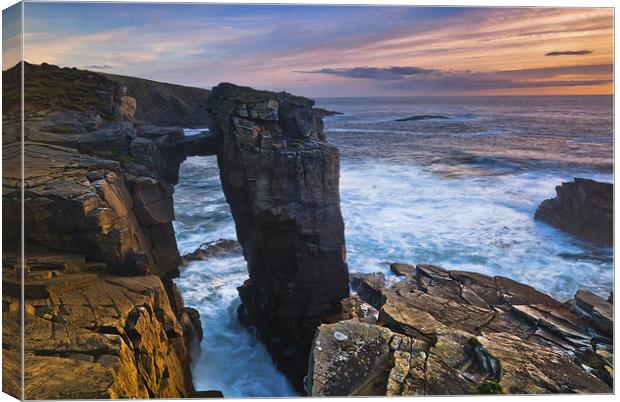 Sea Cliffs at Yesnaby, Orkney Canvas Print by David Ross