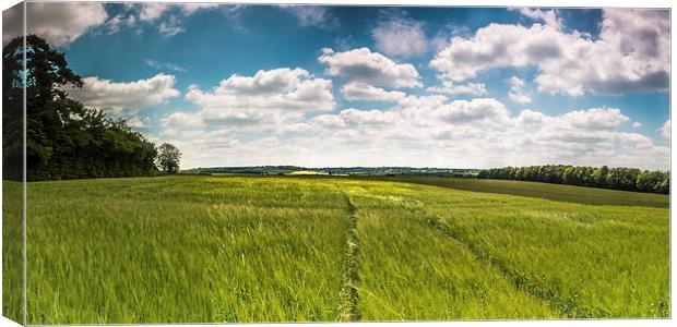  Summer Hampshire Fields Canvas Print by Kevin Browne