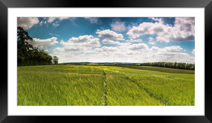  Summer Hampshire Fields Framed Mounted Print by Kevin Browne