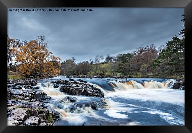 Autumn Colour Low Force Waterfall Teesdale Framed Print by David Forster